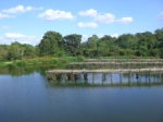 Avery Island - Birding places